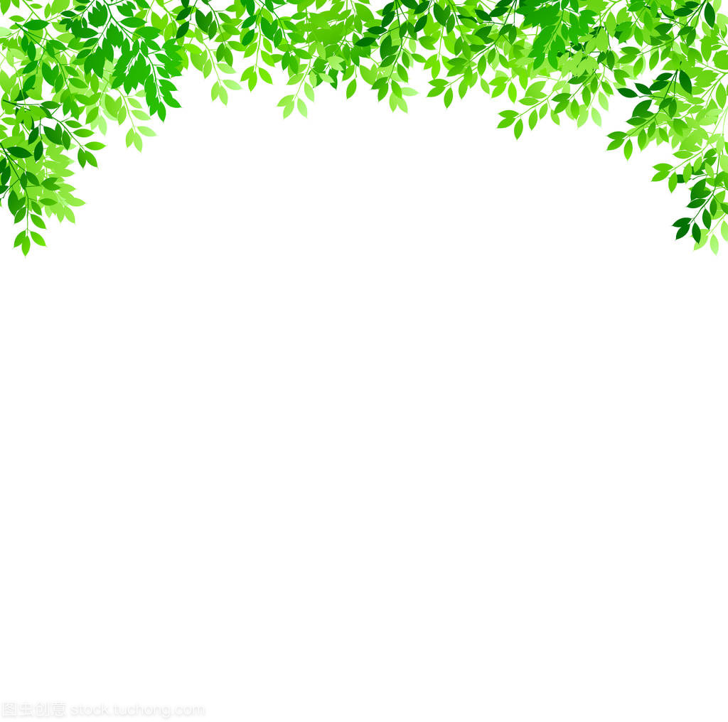 清新的绿叶景观背景