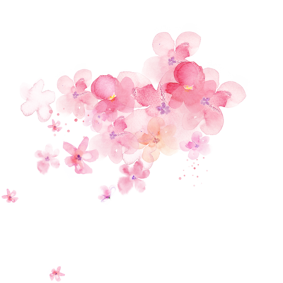 png红粉色樱花花朵免抠素材@灬小狮子灬