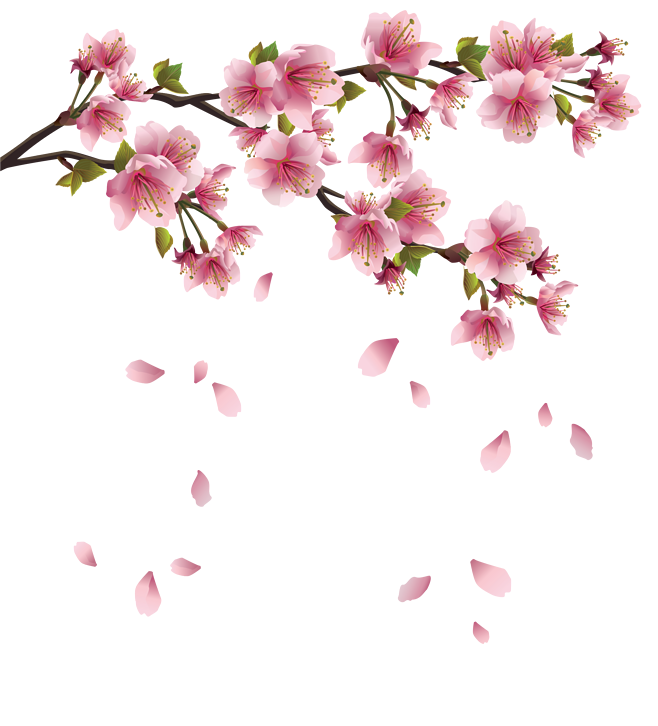 花PNG素材#桃花树枝