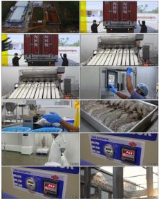 工业视频素材视频素材下载, 工业视频素材AE模板下载
