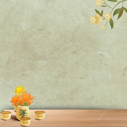 简约菊花花茶psd分层主图背景素材背景图片免费下载 千库网