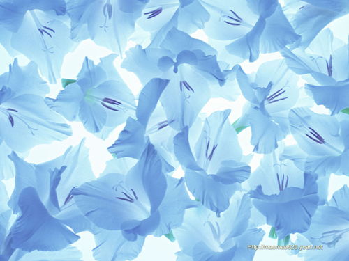 flower art