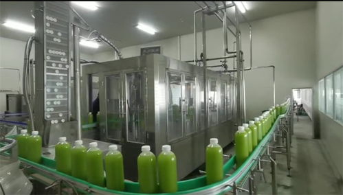 加快建设名城之花竞相绽放，共话发展踌躇满志未来已来