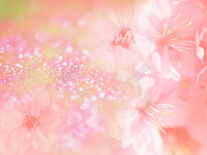 免费下载 编号14408959的高清背景花素材模板，JPG格式，1600像素